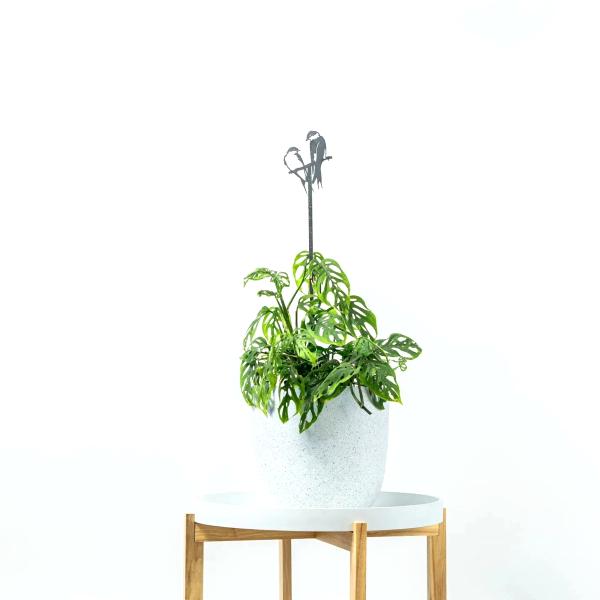 Hirondelles tuteur plantes - METALBIRD